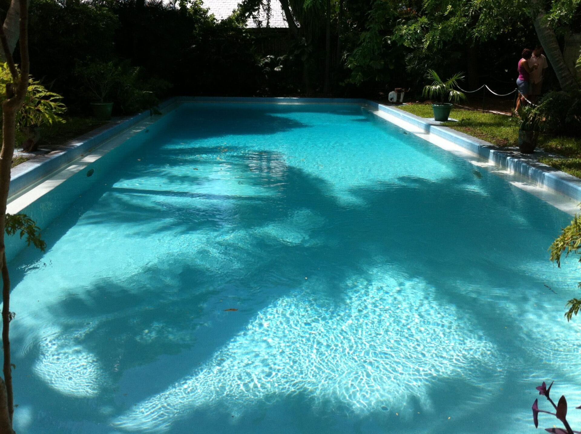 The Backpacking Housewife Hemingway House Key West