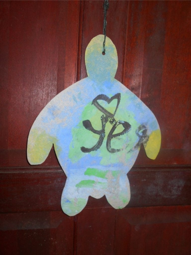 Sea Turtle conservation. Yes or No to being woken in the night for turtle duty!