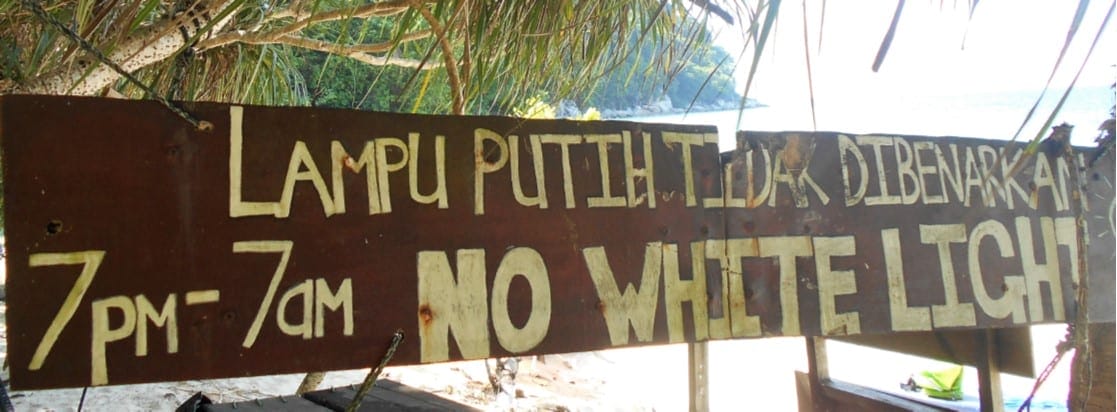 No white lights on the beach from 7pm  at the turtle sanctuary The Backpacking Housewife