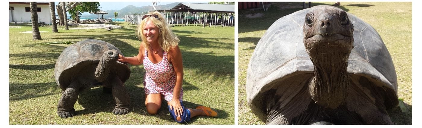 Jonathan THE SEYCHELLES GIANT TORTOISE. THE BACKPACKING HOUSEWIFE