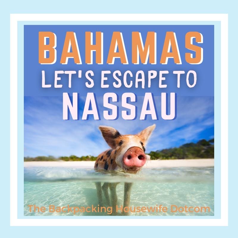 Let's Escape to Nassau Bahamas! - The Backpacking Housewife