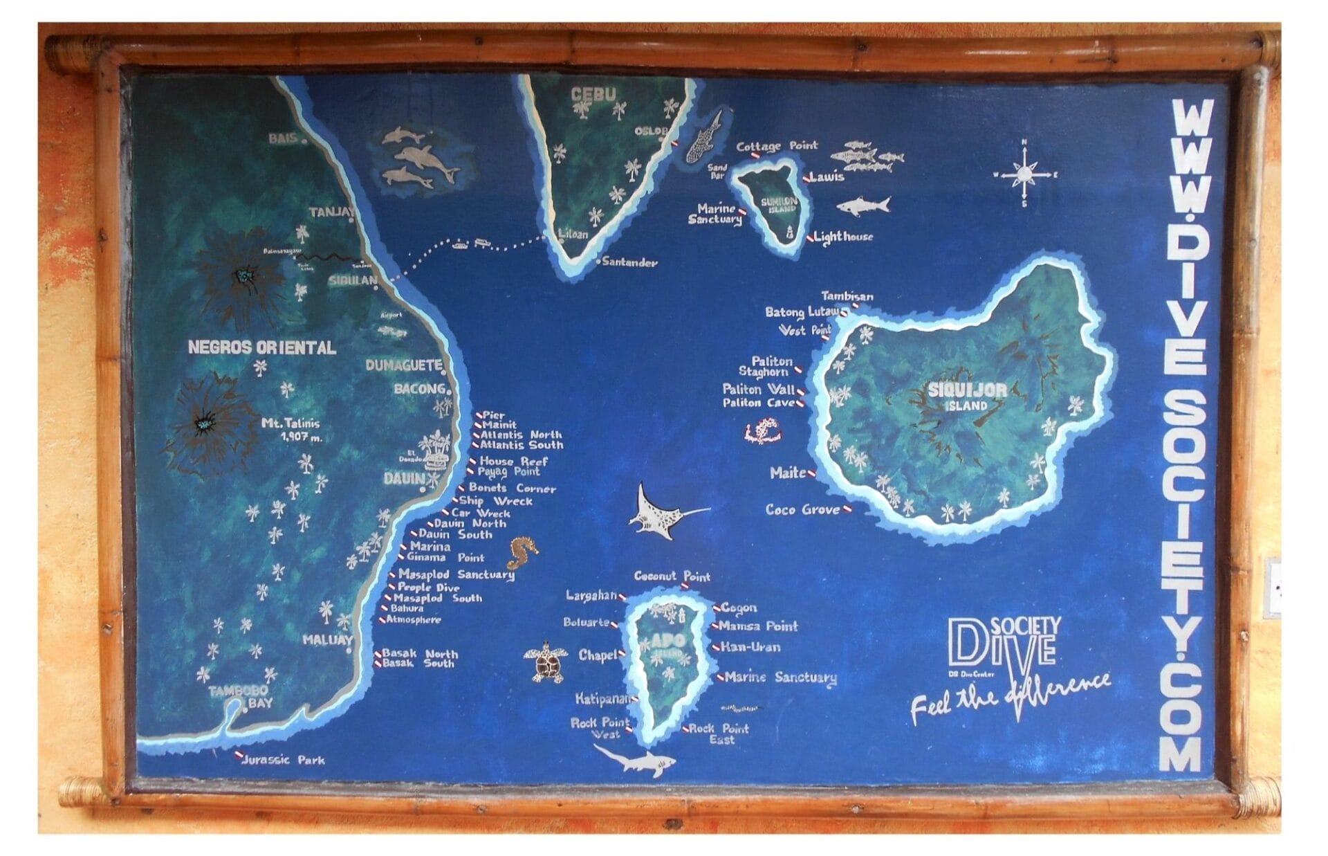 The backpacking husband was particularly looking forward to lots of diving from Dauin at Negros Philippines