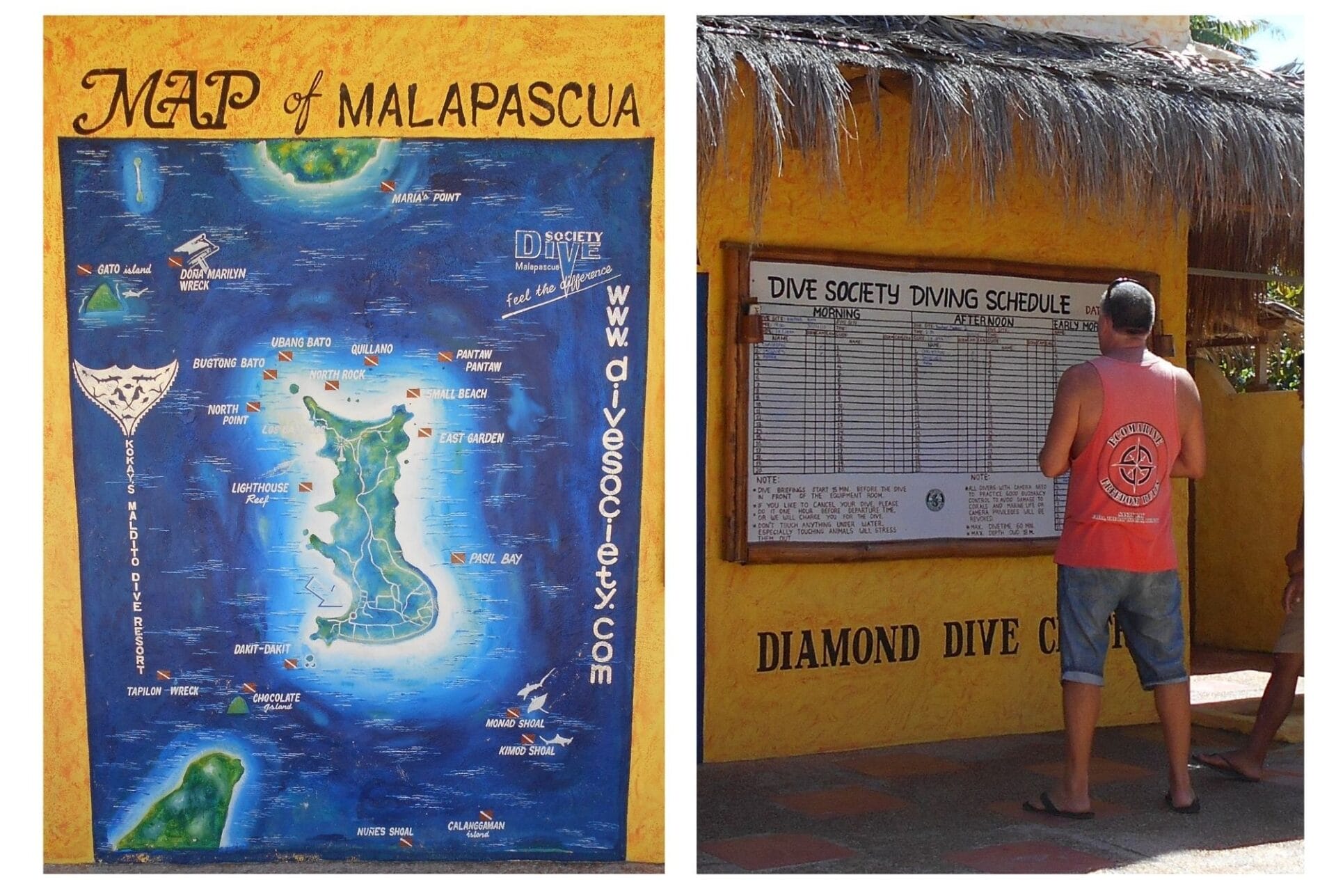 Dive Malapascua. The backpacking husband checks out the dive schedule
