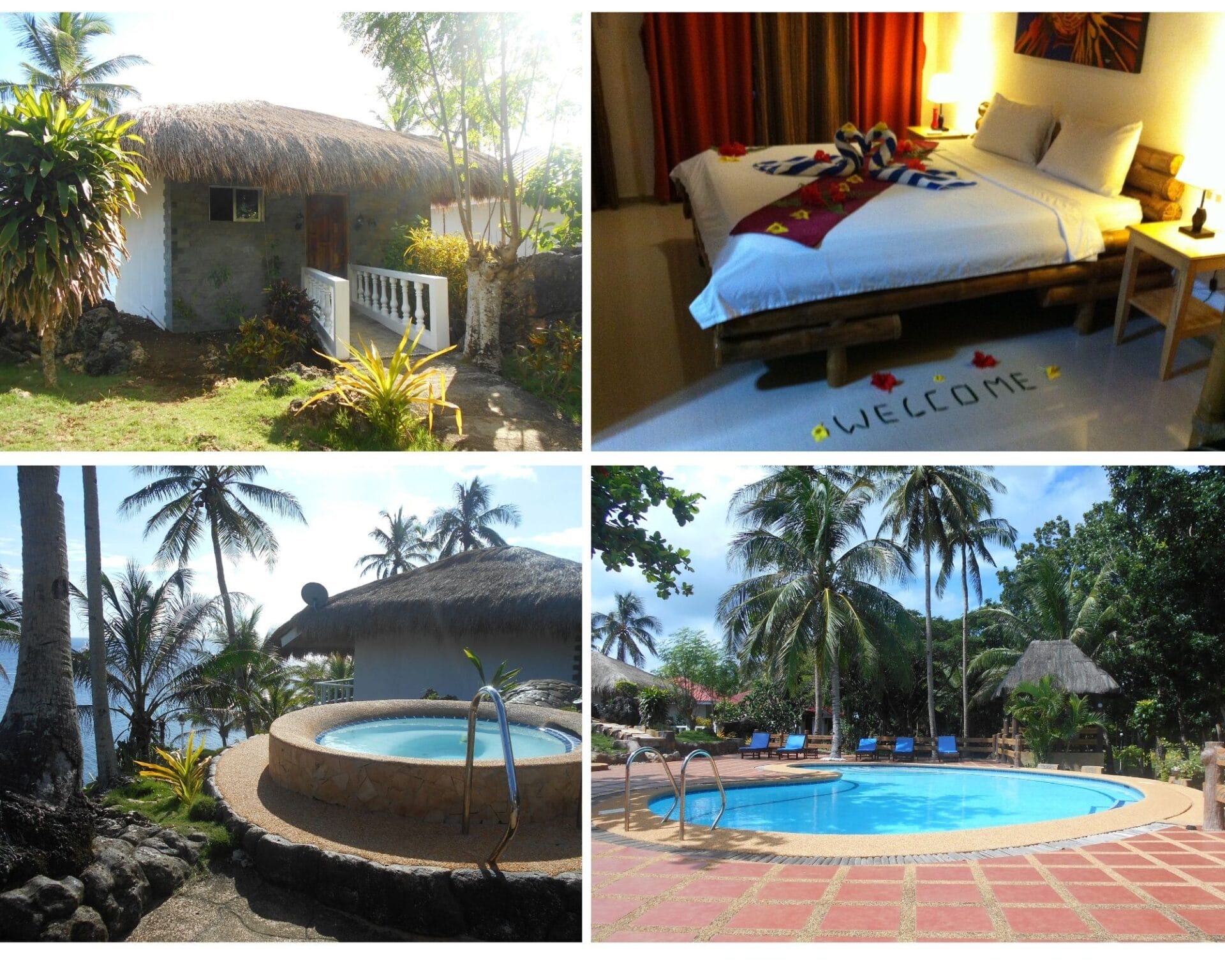 I was seriously impressed with our amazing accommodation at Blue Star Dive Resort