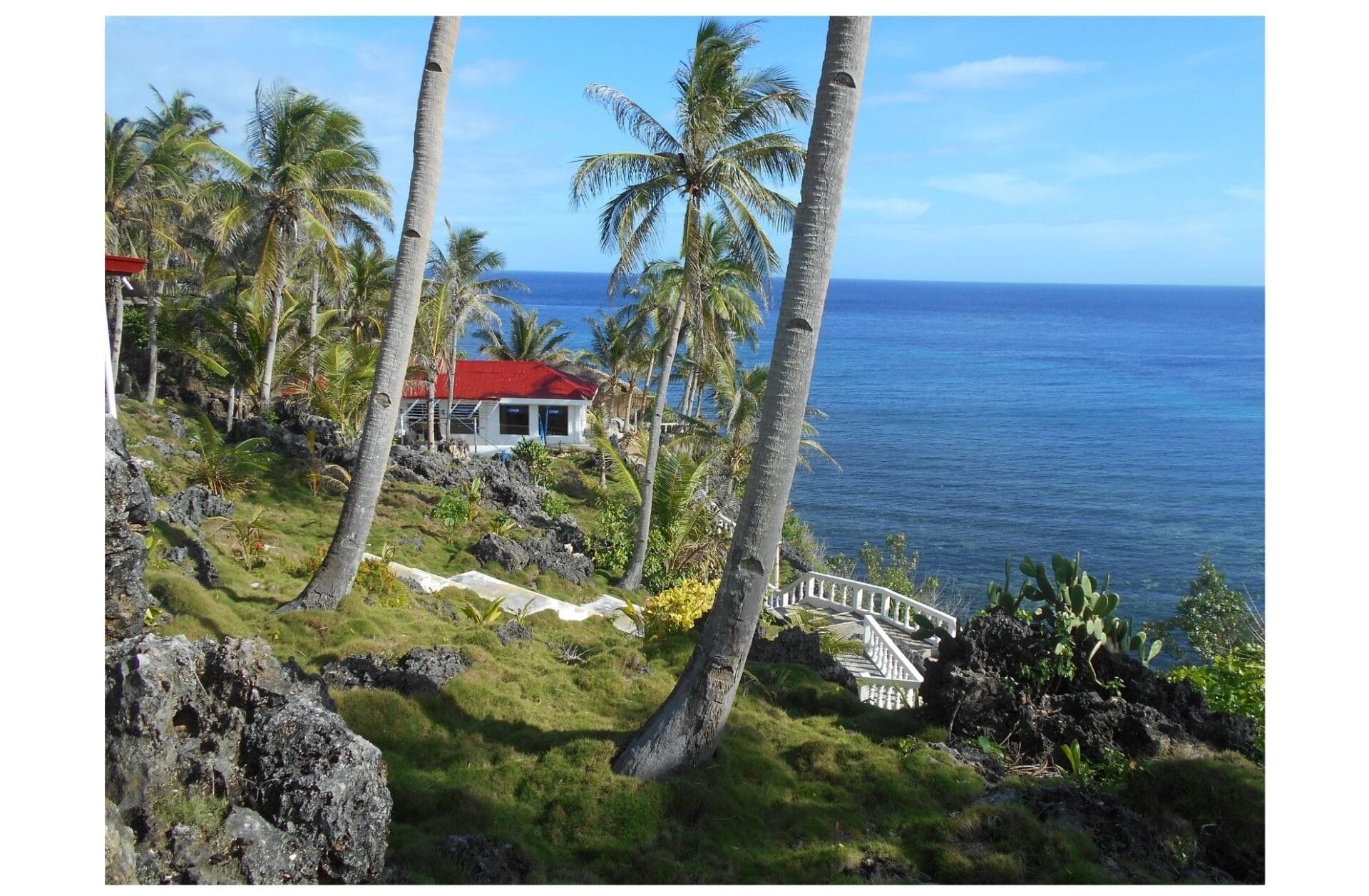 The dive centre at Blue Star on Bohol is a 5 Star PADI Resort. The Backpacking Housewife. Island hopping Philippines.