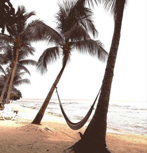 A hammock on coral beach utila honduras