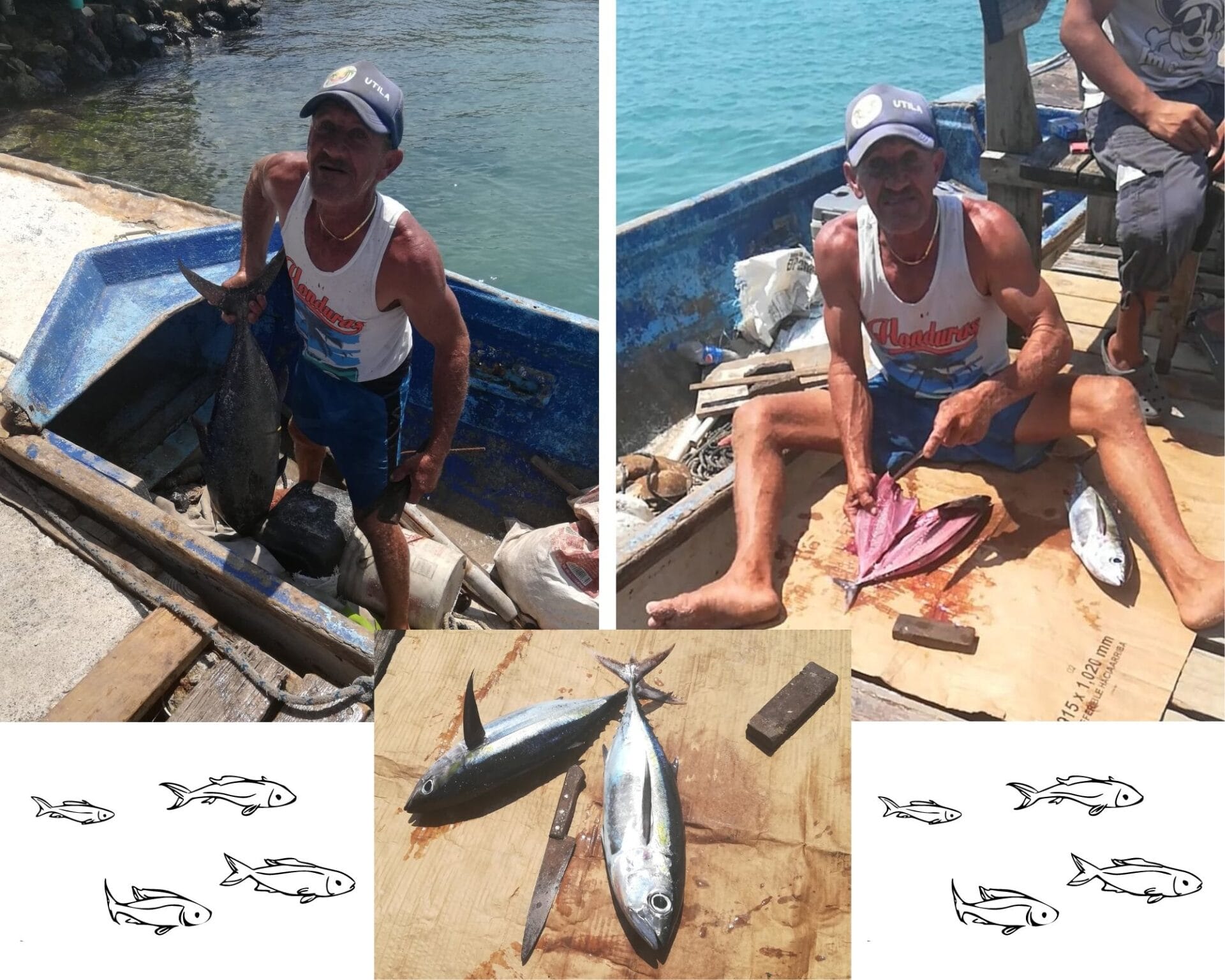 I buy fresh fish straight from Zorro the fisherman on Utila