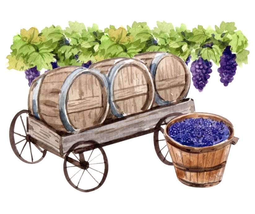 The Backpacking Housewife - my very own Top 5 Favourite Wine Tasting Chateaux in Bergerac France.