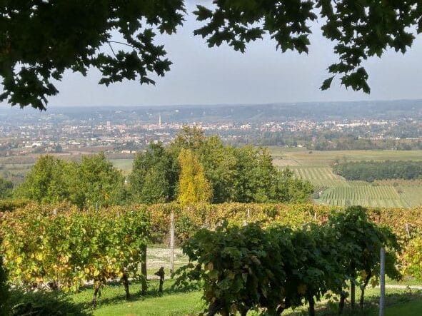 Views from the vineyards to Bergerac. The Backpacking Housewife