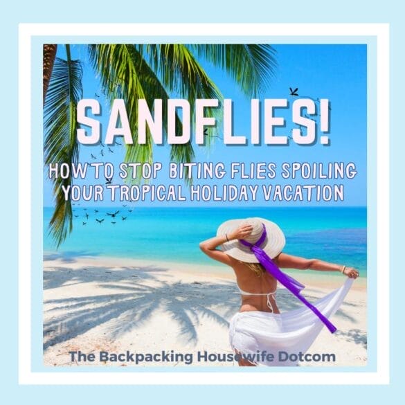 SANDFLIES HEADER BOX