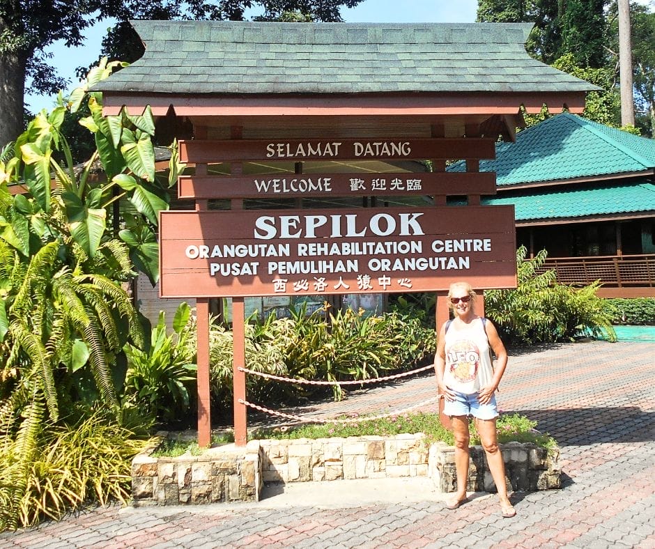 Exploring Borneo - Sepilok Orangutan Centre