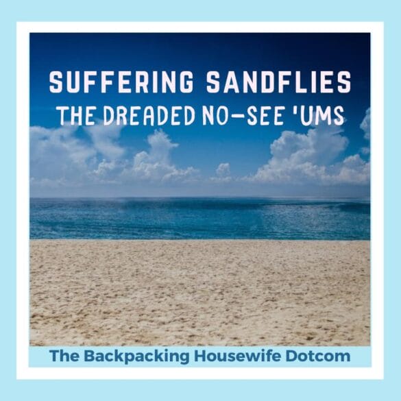 sandflies the dreaded no see ums. The Backpacking Housewife