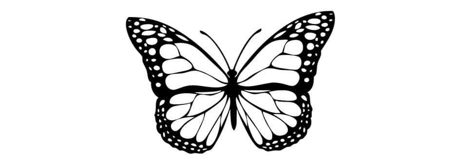 A midlife tattoo might include images like a butterfly