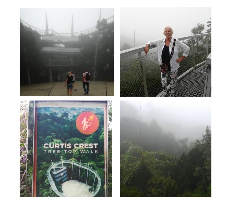 In the mist at the Curtis Crest Tree Top Walk at The Habitat at Penang Hill. The Backpacking Housewife. My 10 Best Things To Do In Penang Malaysia