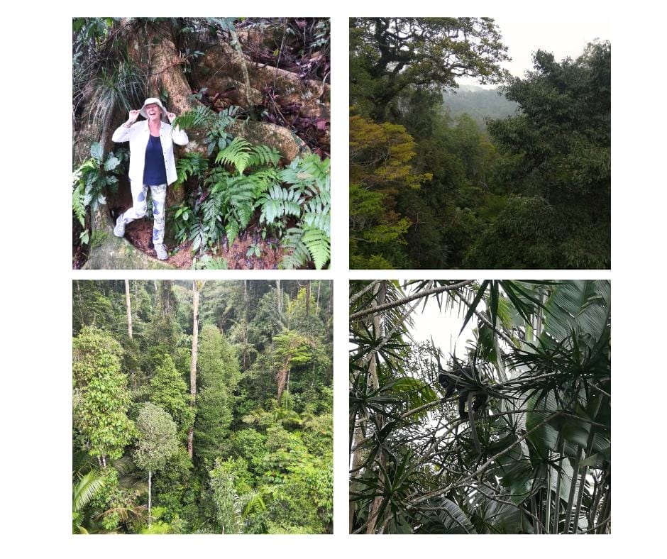 Penang Hill. The Backpacking Housewife. My 10 Best Things To Do In Penang Malaysia