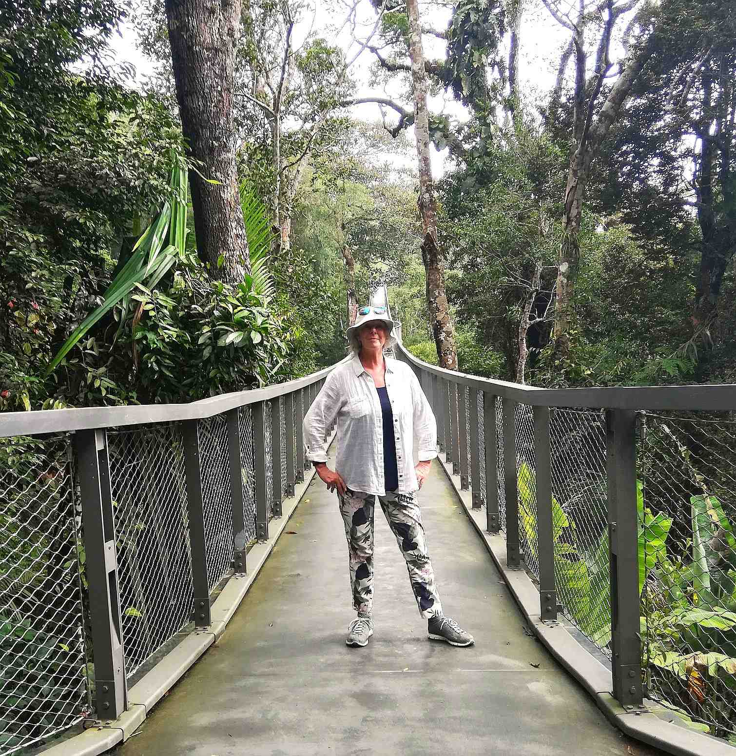 The Langur Way Canopy walk Penang Hill. The Backpacking Housewife. My 10 Best Things To Do In Penang Malaysia