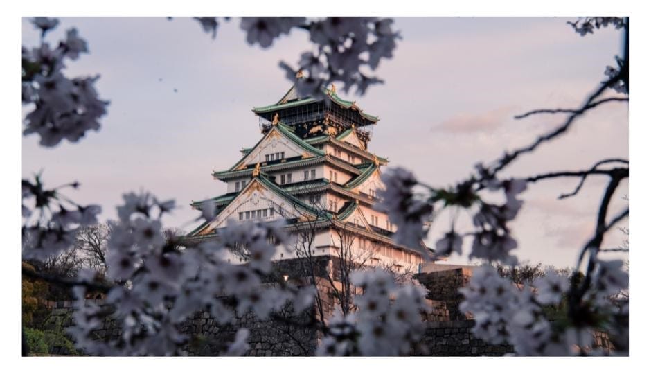 Castle with cherry blossom