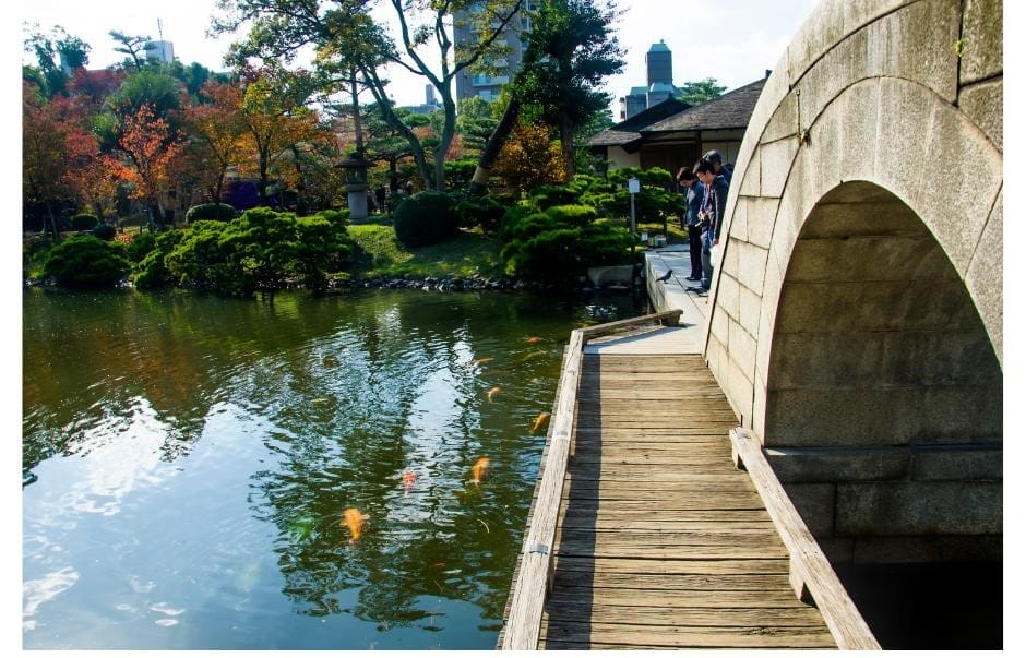 bridge and carp pond in the gardens
