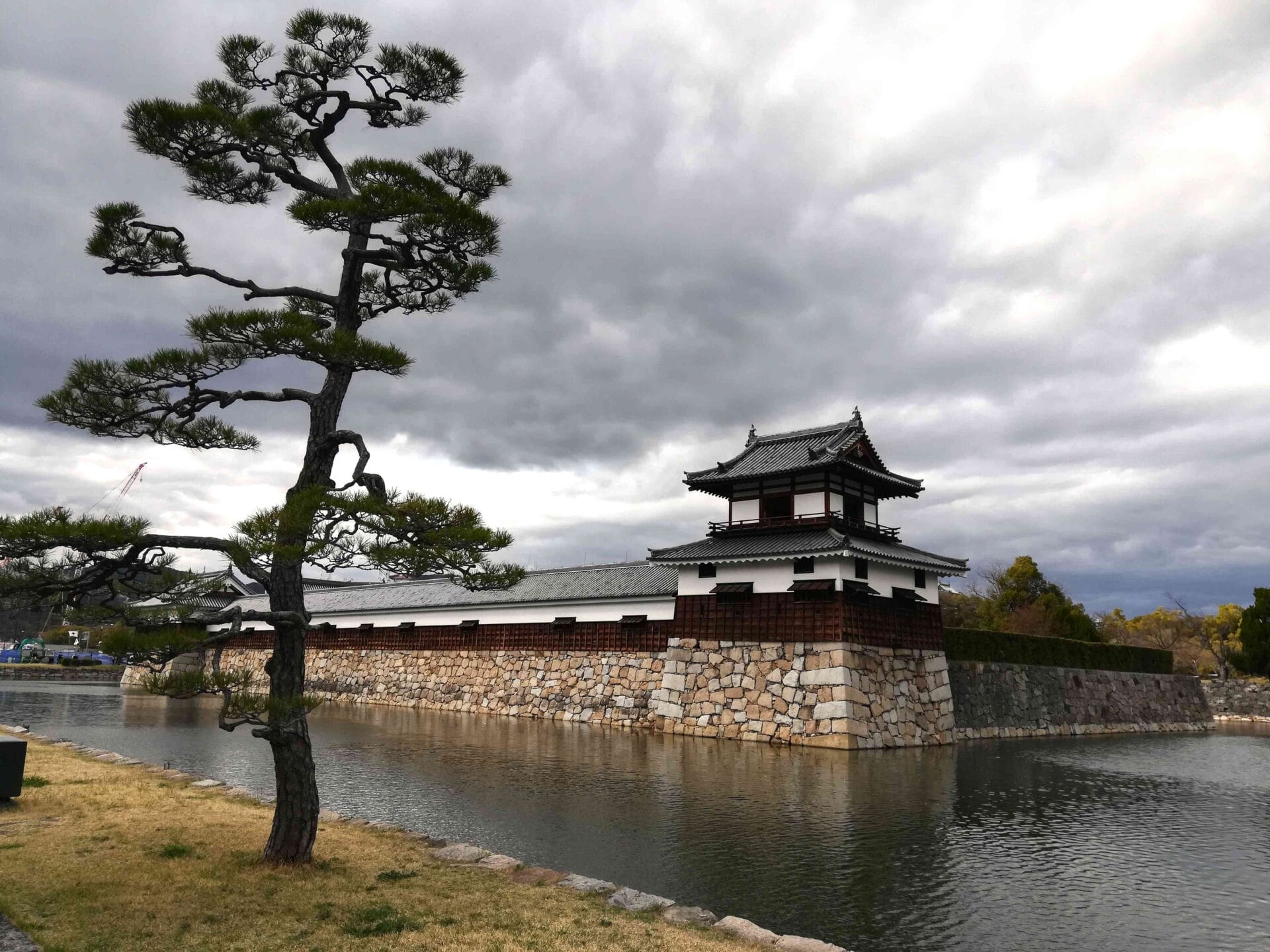 Hiroshima wall moat and tree