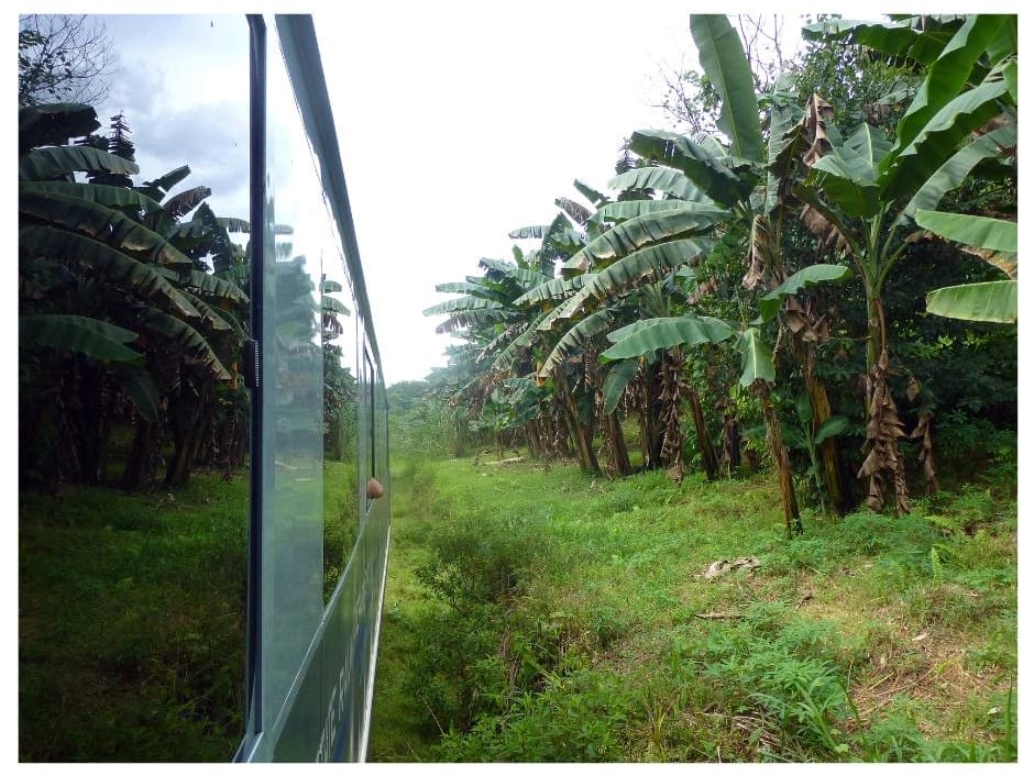 we passed through the town and tunnels and jungle