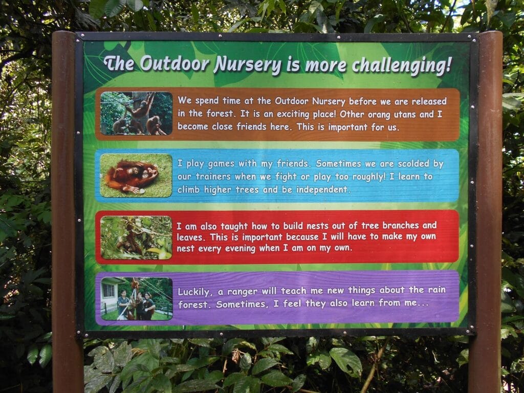 Orangutans in the outdoor nursery sign