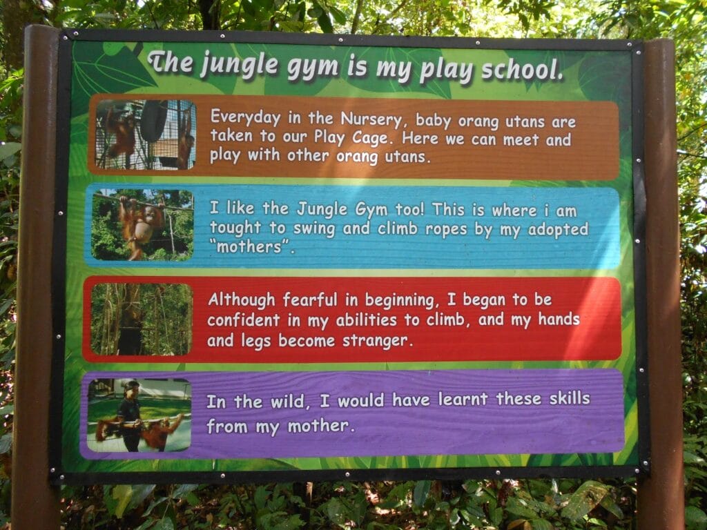 Orangutans in the jungle gym sign