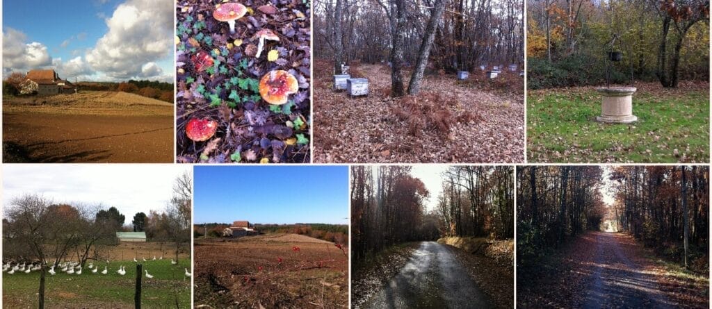 Autumn in France. The Backpacking Housewife