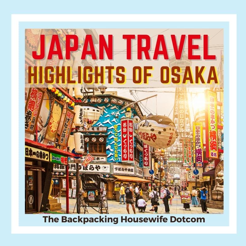 Osaka Insider: A Travel Guide for Osaka Prefecture [洋書]