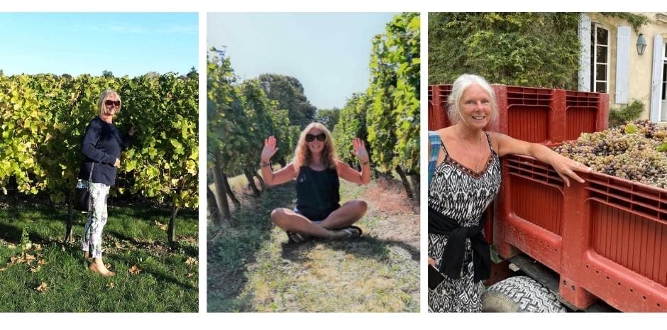 Housesitting. The backpacking Housewife at the vineyards