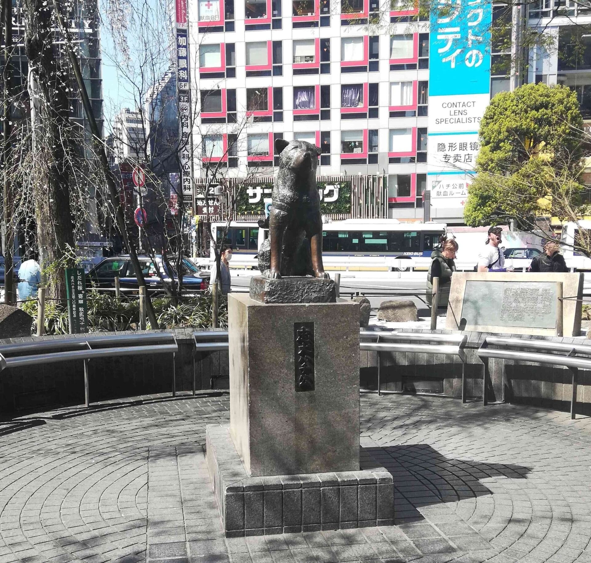 The statue of Japan’s most famous dog, Hachiko, is located outside Shibuya Station. Tokyo.