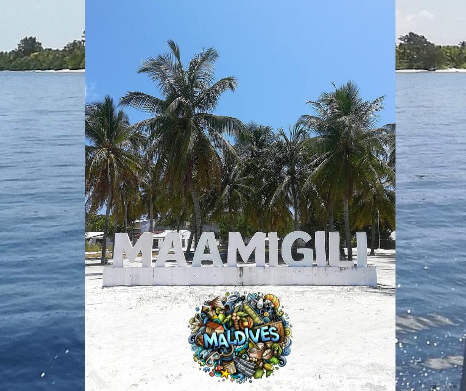 Maldives Island the name Maamigili means ‘Whale Shark Island’. The backpacking housewife
