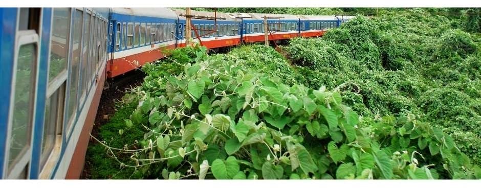 DA NANG TO HUE BY TRAIN VIA HAI VAN PASS