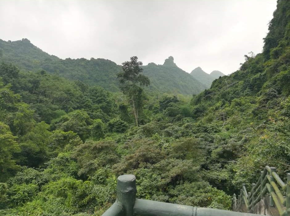 Views of Cat Ba National Park and Biosphere Reserve by Janice Horton