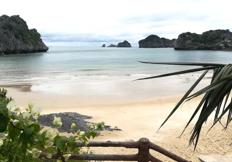 Cat Ba Island North Vietnam is surrounded by emerald green waters with towering limestone karsts that soar majestically from the sea. Janice Horton