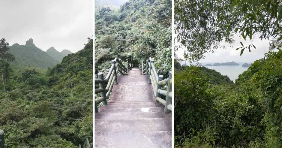 Cat Ba National Park offers several hiking trails