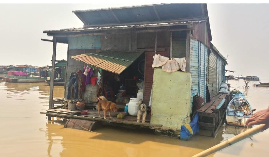 I was fascinated to see floating wooden houses with dogs sitting on porches.