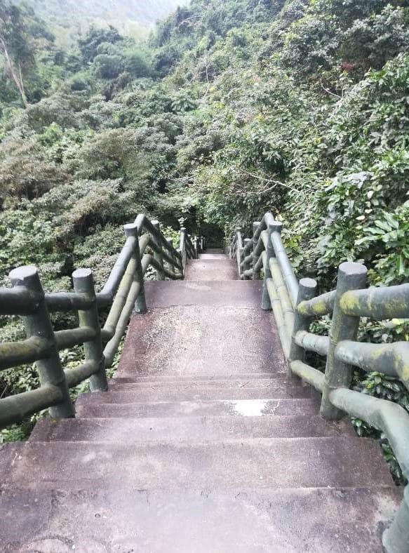 The steps to Trung Trang Cave on Cat Ba Island