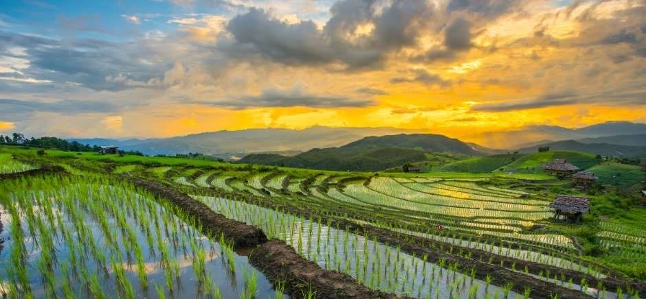 Best and worst time to visit Thailand. Thailand's Northern Region