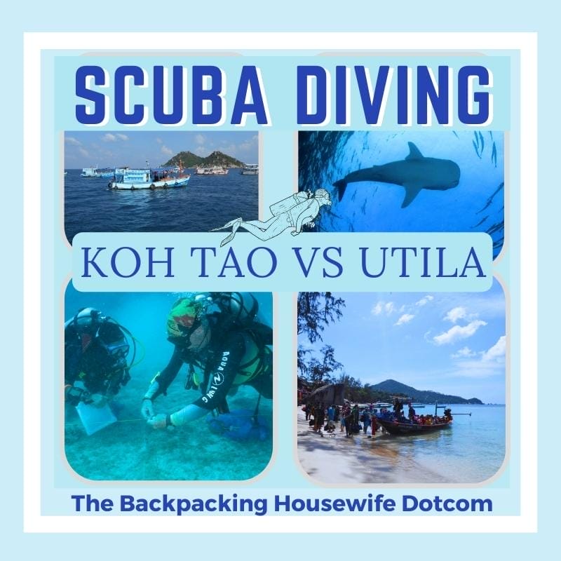 SCUBA DIVING KOH TAO VS UTILA