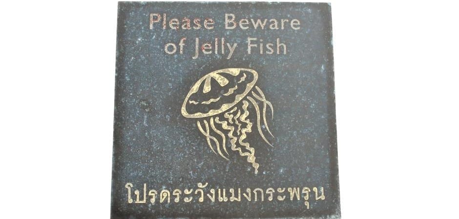 Jellyfish Warning Sign at Hua Hin Beach