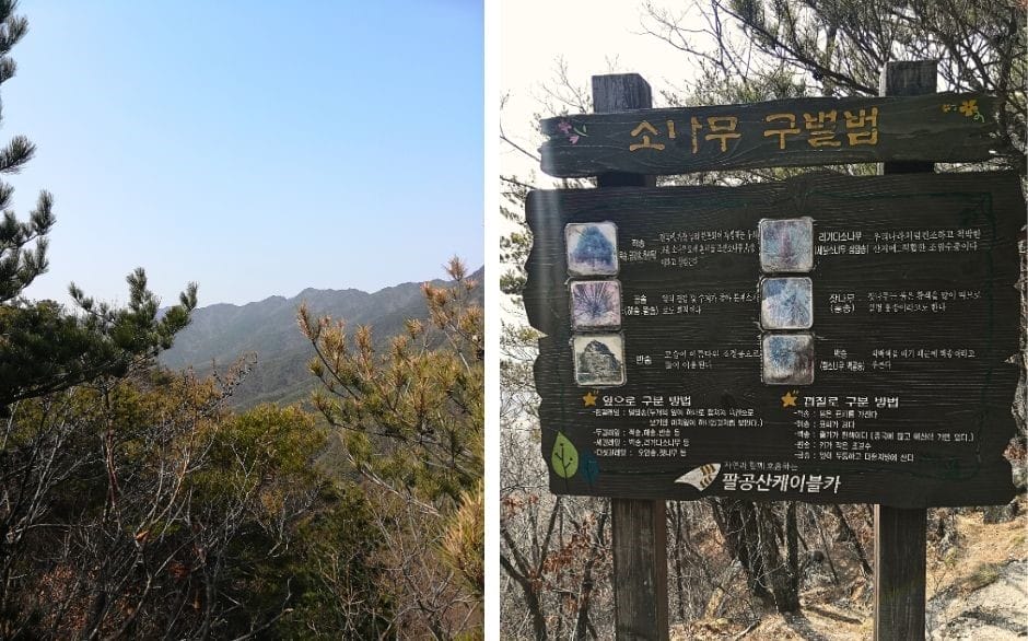 From the top station you can access additional hiking trails
