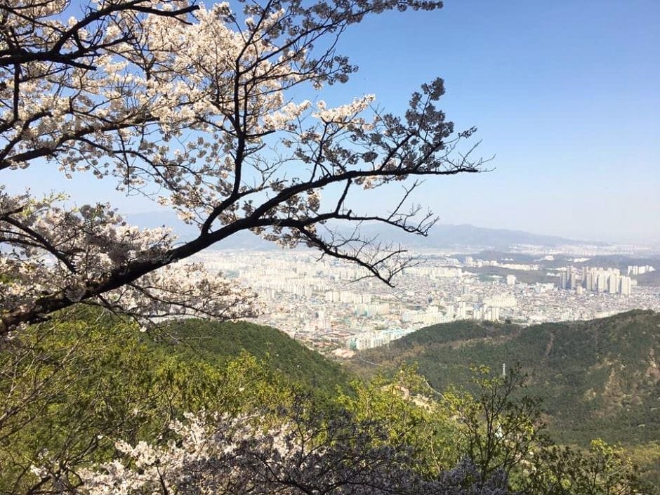 Apsan Mountain: Early springtime in Daegu