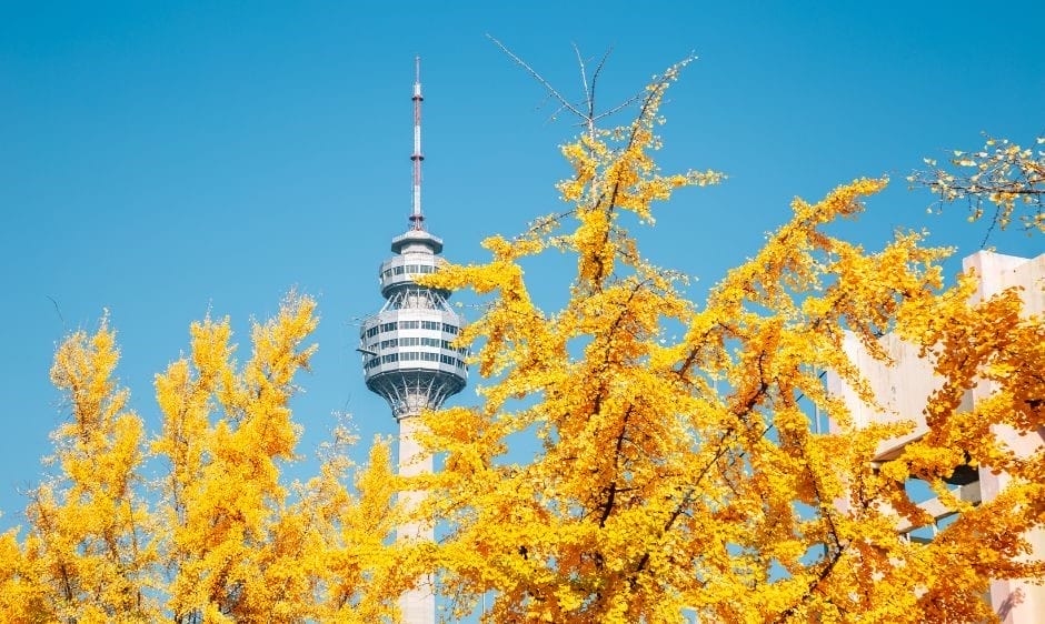 Towering above the park is the iconic Daegu Tower 