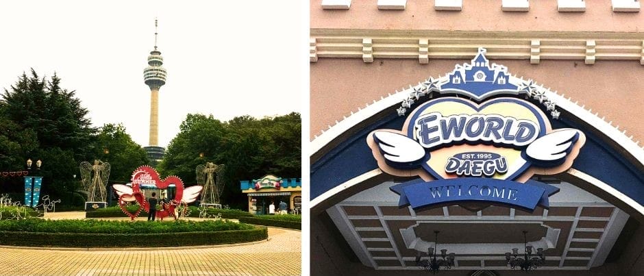 Thrilling E-World theme park and the Daegu Tower