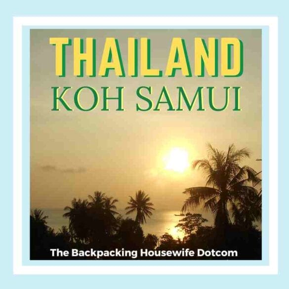 KOH SAMUI WEBSITE HEADER BOX