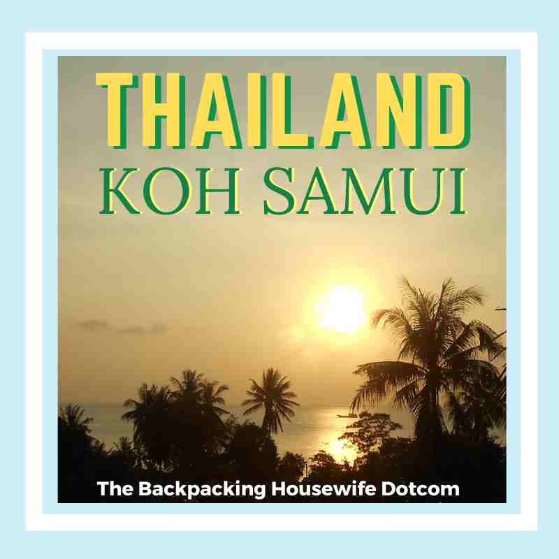 KOH SAMUI WEBSITE HEADER BOX