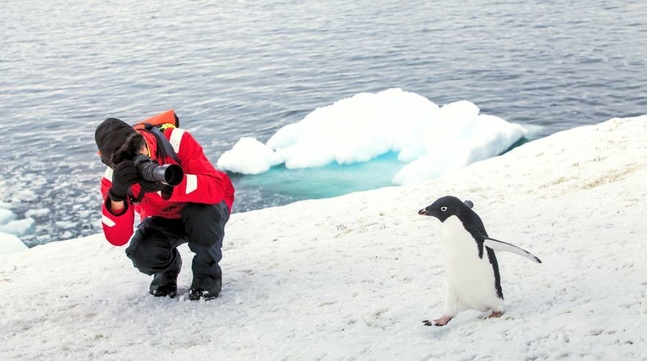 Antarctica Adventure Travel - What’s on your wildlife travel adventure wish list?