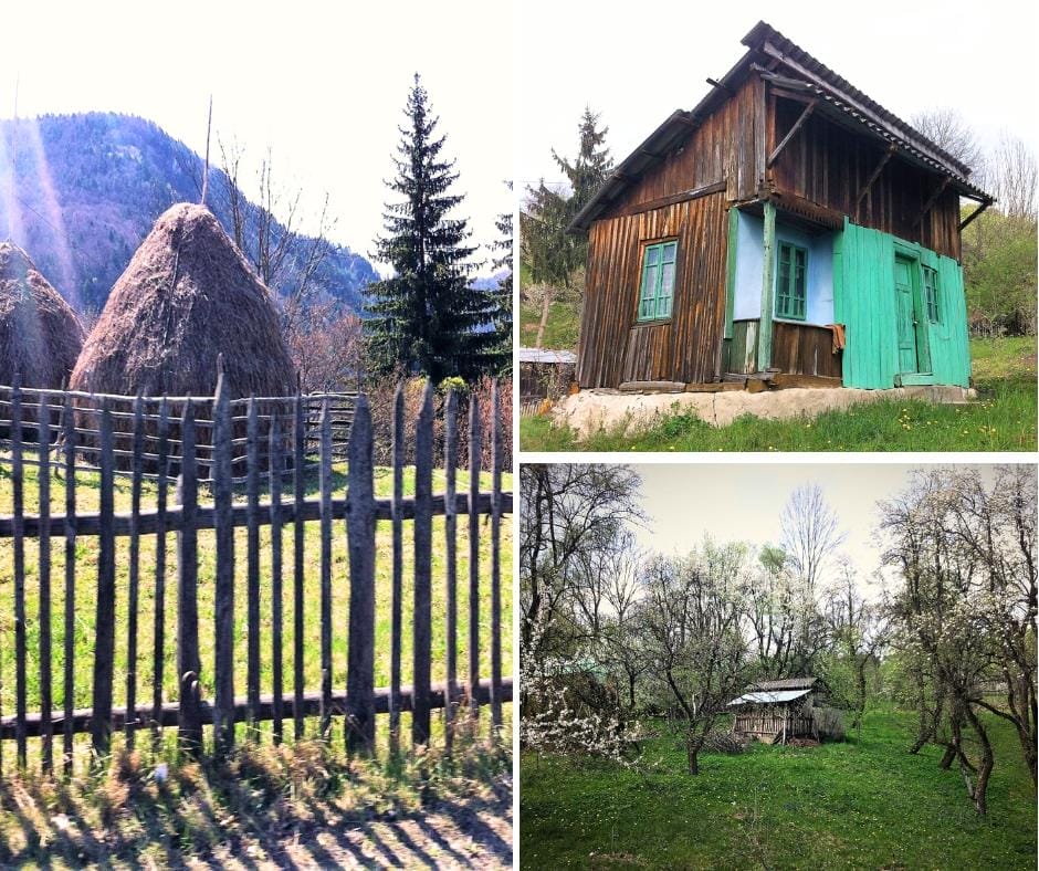 Cows, goats, chickens, and the hay sustains them through the harsh winters in rural Romania.