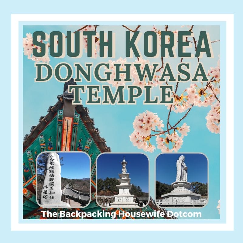 DONGHWASA TEMPLE HEADER BOX DAEGU ITINERARY
