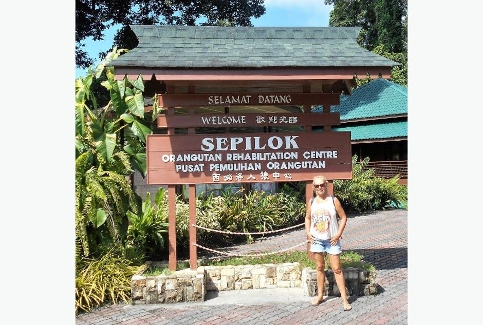 JANICE HORTON: SEPILOK ORANGUTAN CENTRE MALAYSIAN BORNEO